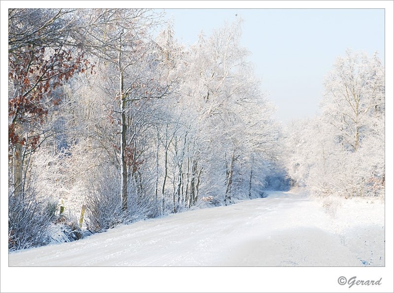 Verkensbos 1.jpg - Verkensbos